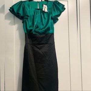 Xscape green and back dress